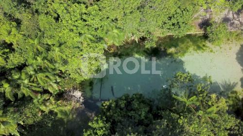 São Francisco do Pará Pará PA 2019