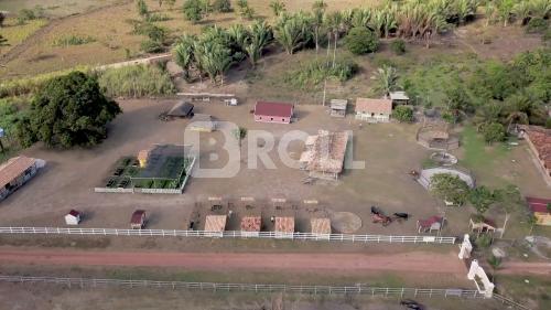 Tracuateua Pará PA 2019