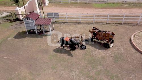 Tracuateua Pará PA 2019