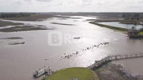 Tracuateua Pará PA 2019