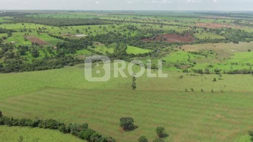 Uberlândia Minas Gerais MG 2018