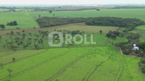 Uberlândia Minas Gerais MG 2018